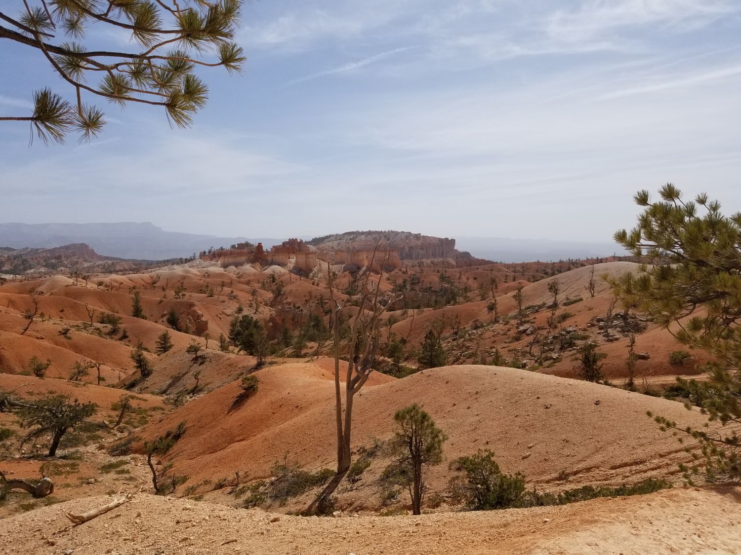 Queens/Navajo 